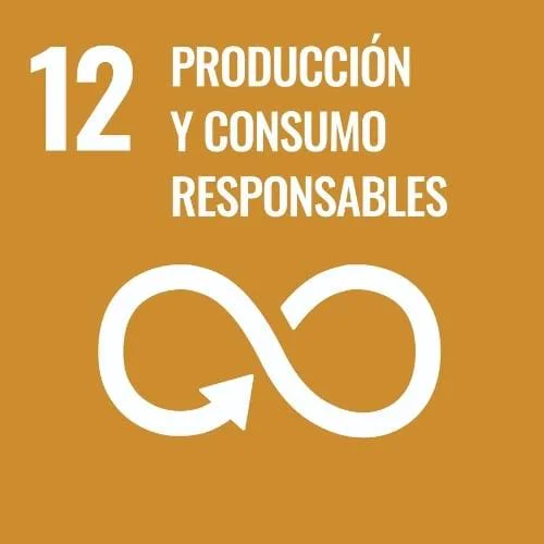 Responsible Consumption and Production