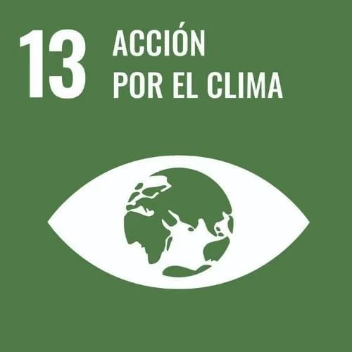 Climate Action