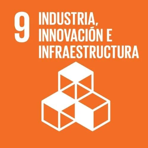Industry, Innovation, and Infrastructure